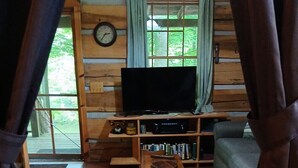 A wooden interior with a television, bookshelf, and sofa. - Cozy 1-bedroom cabin in gorgeous Maggie Valley with AC (Maggie Valley)