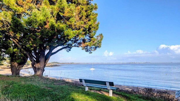 Un banc au bord d’une étendue d’eau, avec un arbre au premier plan.