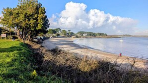 Une plage avec un grand arbre, un sentier sablonneux et une étendue d’eau calme.