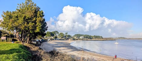 Ranta, jolla on suuri puu, hiekkainen polku ja tyyni vesialue.