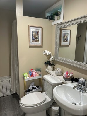Hair dryer, towels, soap, toilet paper - Cozy Romantic Mountain View studio at the base of Mt Monadnock (Marlborough)