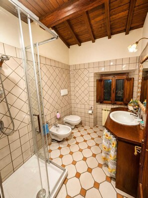 Regadera, secadora de cabello, bidet, toallas 