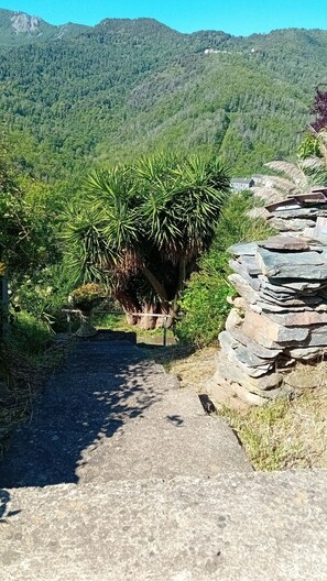 A paved pathway leading through a garden with a variety of plants and a stone wall. - Cosy studio with mountain view (Poggio-Marinaccio)