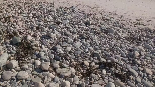 A beach with a rocky foreground and a clear sky.