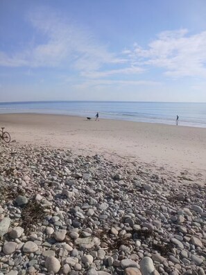 A beach with a rocky foreground and a clear sky.
