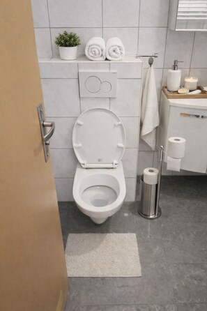 Hair dryer, towels, toilet paper