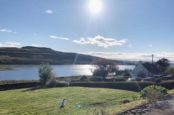 A rural landscape with a lake, a grassy field, and a house with a white roof.