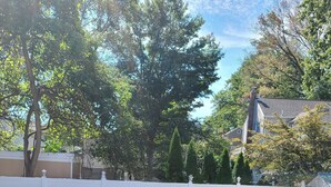 Une terrasse en bois avec une piscine, entourée d’une clôture blanche et d’arbres.