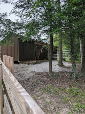 Overnatningsstedets område