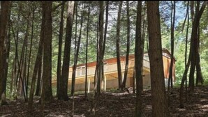 A forested area with a building partially obscured by trees. - Horse-Friendly Retreat:Trail Access, Woodland Views & Peaceful Deck (Allardt)
