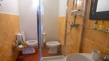 Shower, hair dryer, bidet, towels