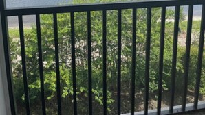 Blick von einem Balkon mit Geländer auf einen See und eine Baumwiese.