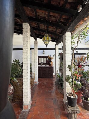 Property grounds - 1. Luxury Private Suite in the Heart of Puerto Vallarta Centro (Puerto Vallarta)