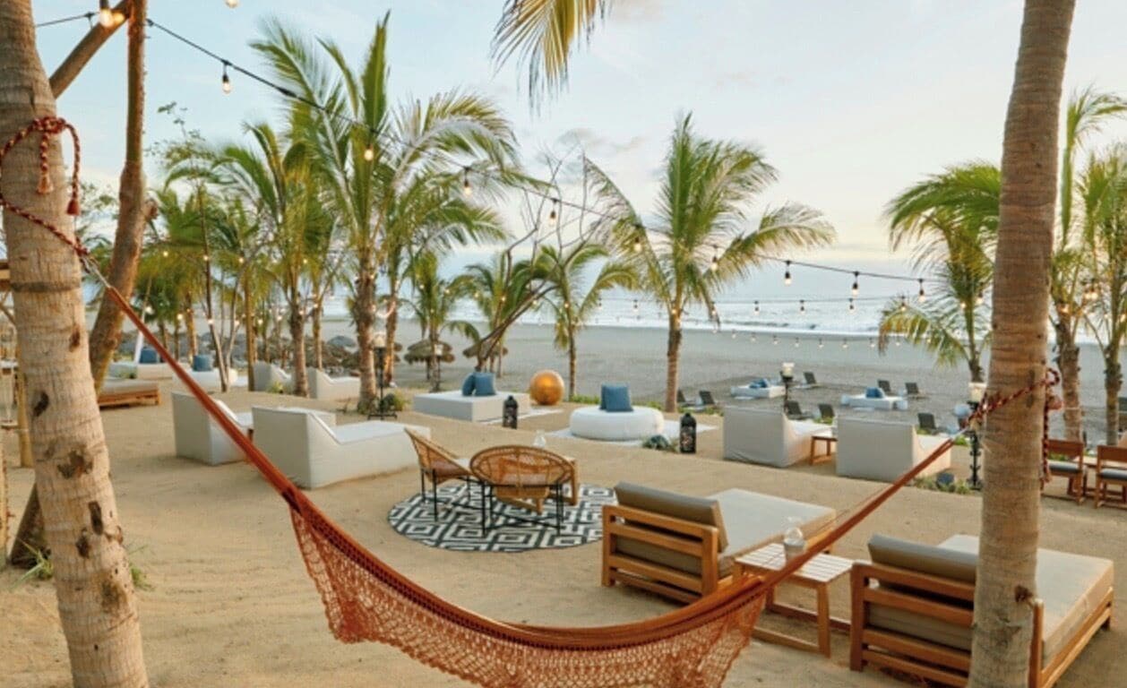 A beachside lounge area with seating, a hammock, and palm trees.