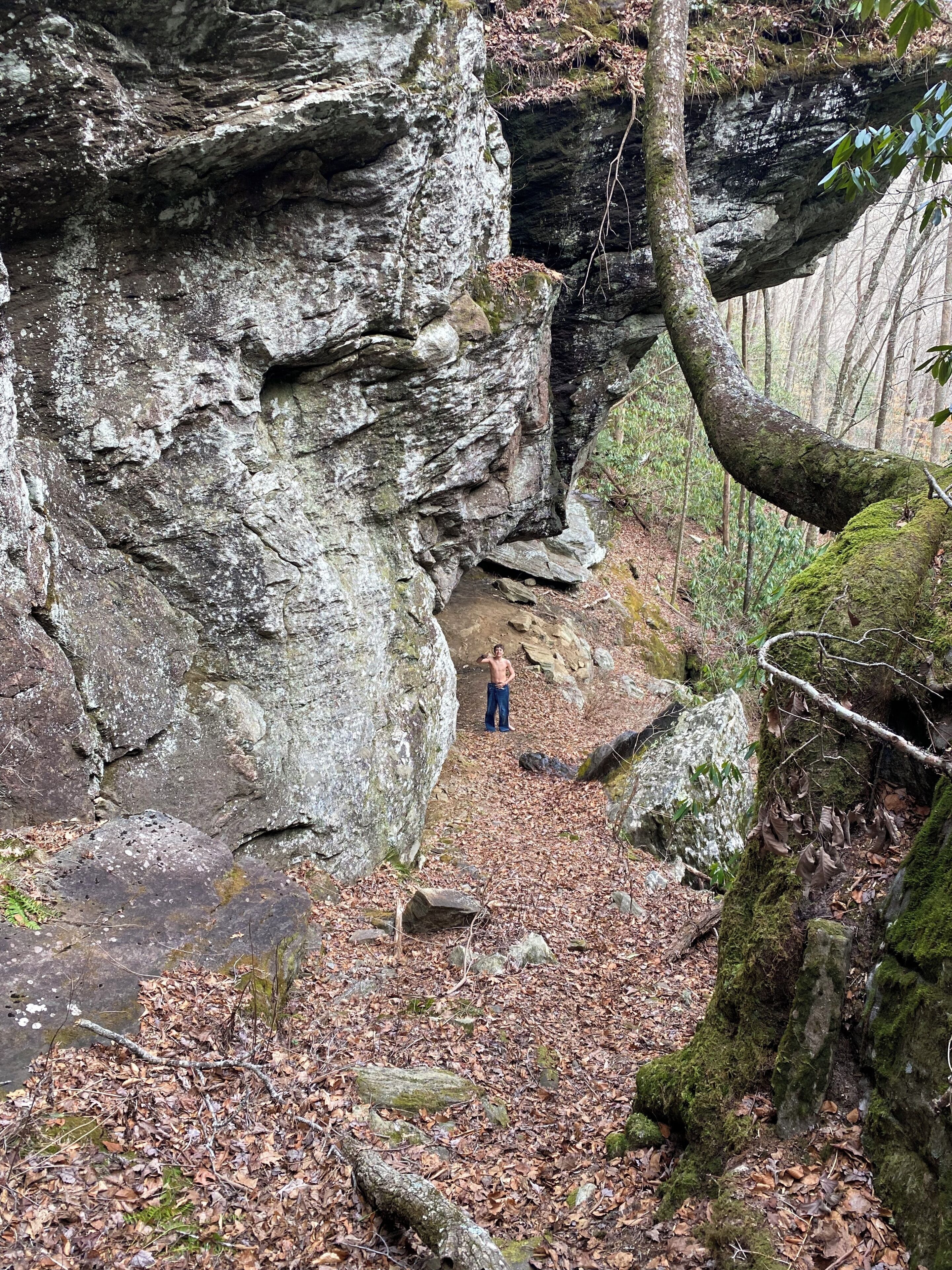 Una scogliera rocciosa con una persona in basso, circondata da una foresta.