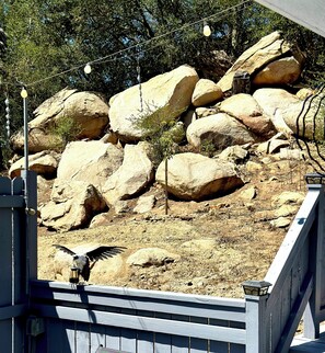 A rocky enclosure with large boulders and a wooden fence. - Entire cozy two floor guest house located in rainbow near Temecula (Fallbrook)