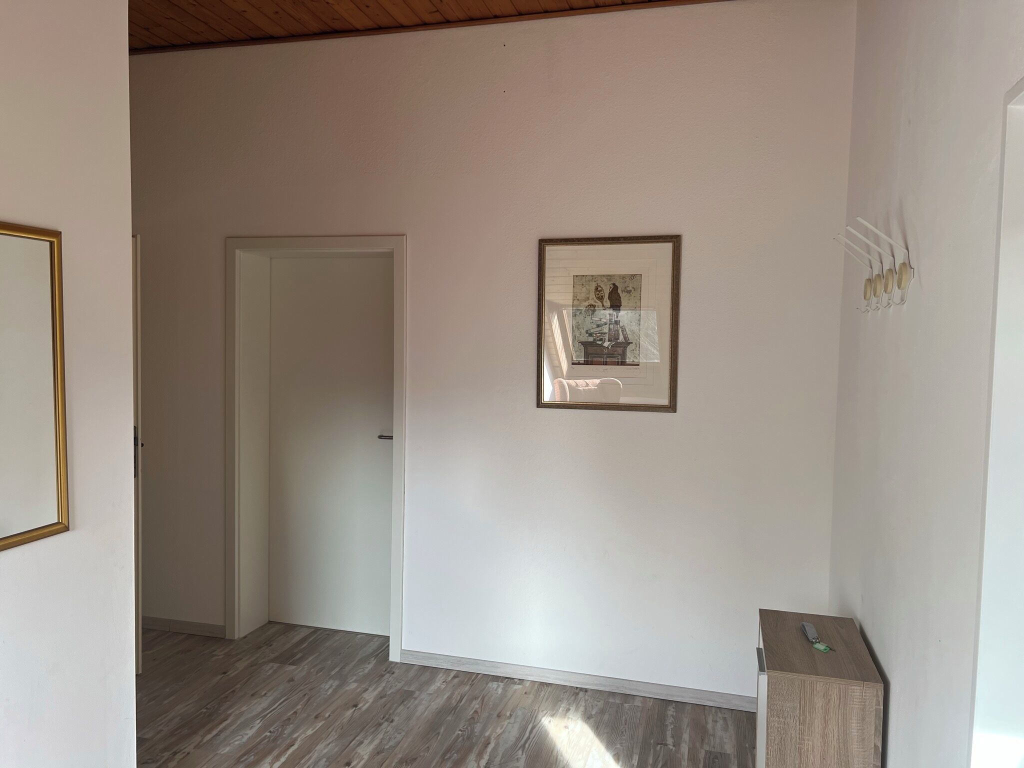 A hallway with a wooden floor, a white door, and a framed picture on the wall.