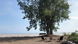 A beach with a large tree, a bench, and several chairs.