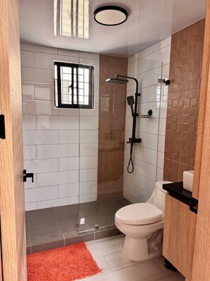 Hair dryer, towels, soap, toilet paper - 3-bedroom apartment in enchanting Santiago de los Caballeros with AC (Santiago de los Caballeros)