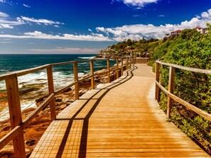 Beach nearby - Rooftop-Pool Studio Stay in Bondi (Bondi)