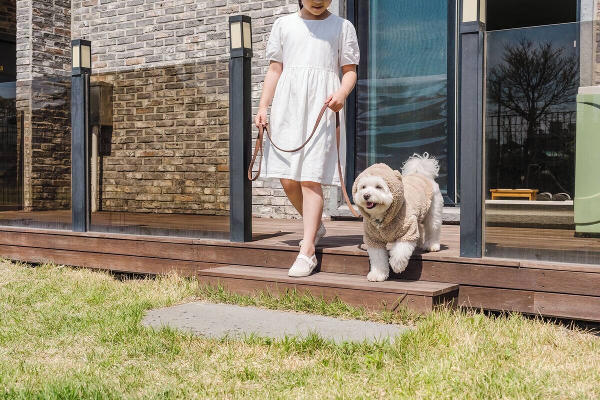 A person in a white dress walking a fluffy white dog on a wooden deck in front of a modern building with a stone facade.
