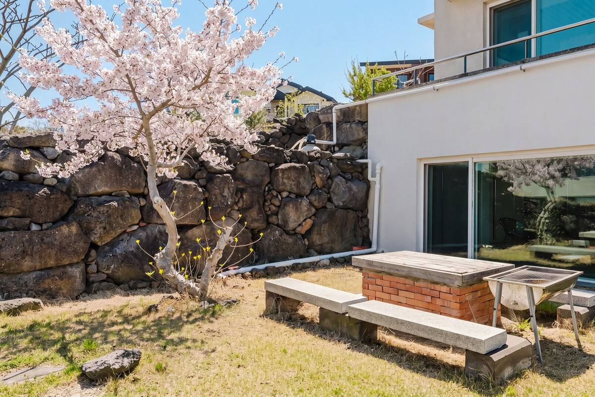 A modern house with a stone wall, a cherry blossom tree, a wooden bench, and a barbecue grill.
