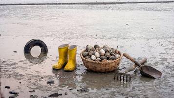 A beach scene with a tire, yellow rubber boots, a basket of seashells, and a shovel.