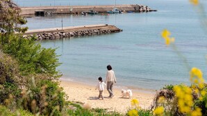 A beach with a pier, calm water, and greenery. - Geoje Erion Pet-friendly Pension (Geoje)