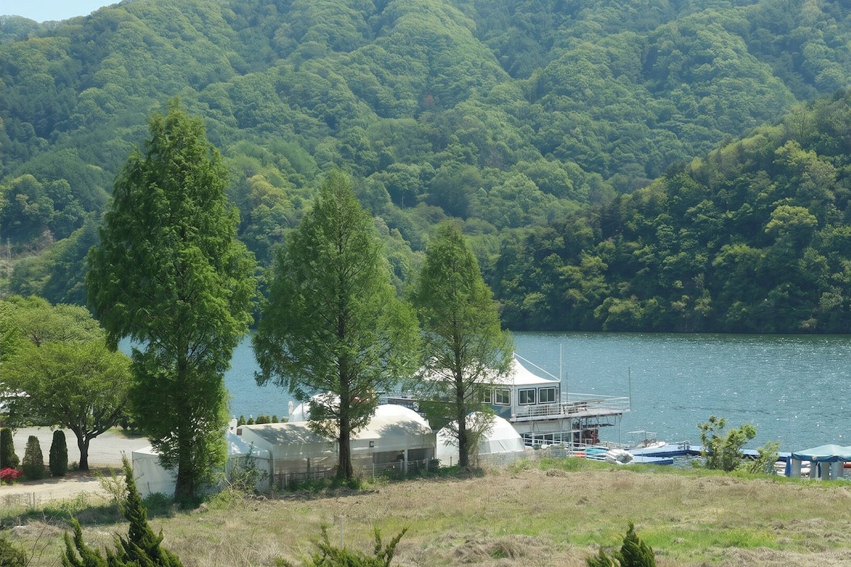 A lakeside property with yurts, a white building with a dome, and a dock with boats.