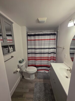 Shower, hair dryer, towels, soap - Bison's Bungalow.  3bd/2bath walking distance to downtown (Bloomington)