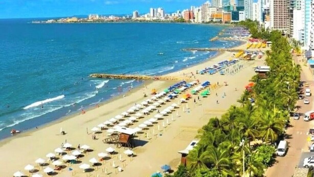 A beach with rows of umbrellas and palm trees, a clear blue sky, and a cityscape in the background. - Spacious 3-bedroom condo in delightful Cartagena with AC and gym (Cartagena)
