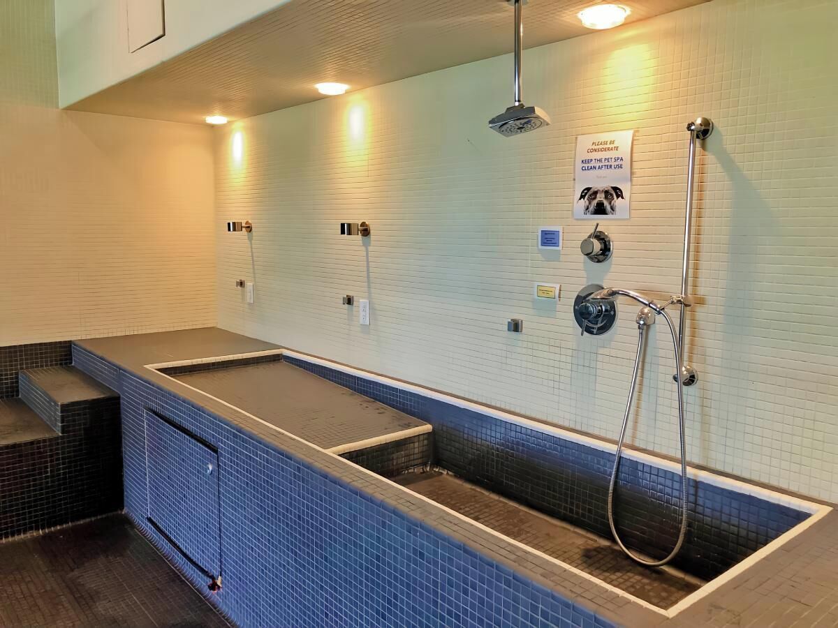 Um spa para animais de estimação com piso de azulejos, um banco revestido de azulejos azuis, área de banho e uma placa indicando para manter o spa limpo após o uso.