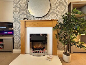 A fireplace with a modern design, a television on the left, and a potted plant to the right. - Character Bedford Apartment with Two Bedrooms (Bedford)