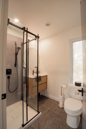 Shower, hair dryer, towels, soap