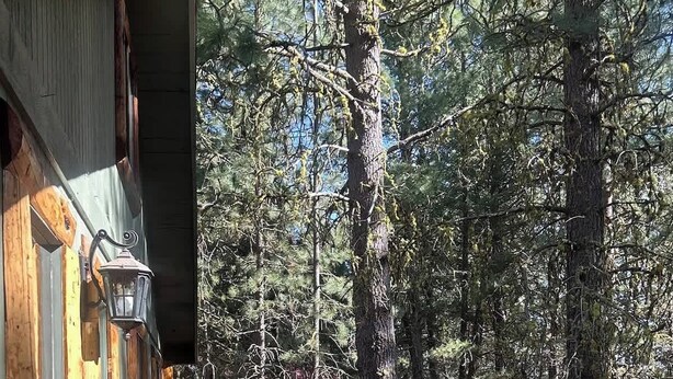 Puinen kuisti, jossa on punainen kaide, ovi ja ikkuna, josta avautuu näkymä metsäiselle alueelle.