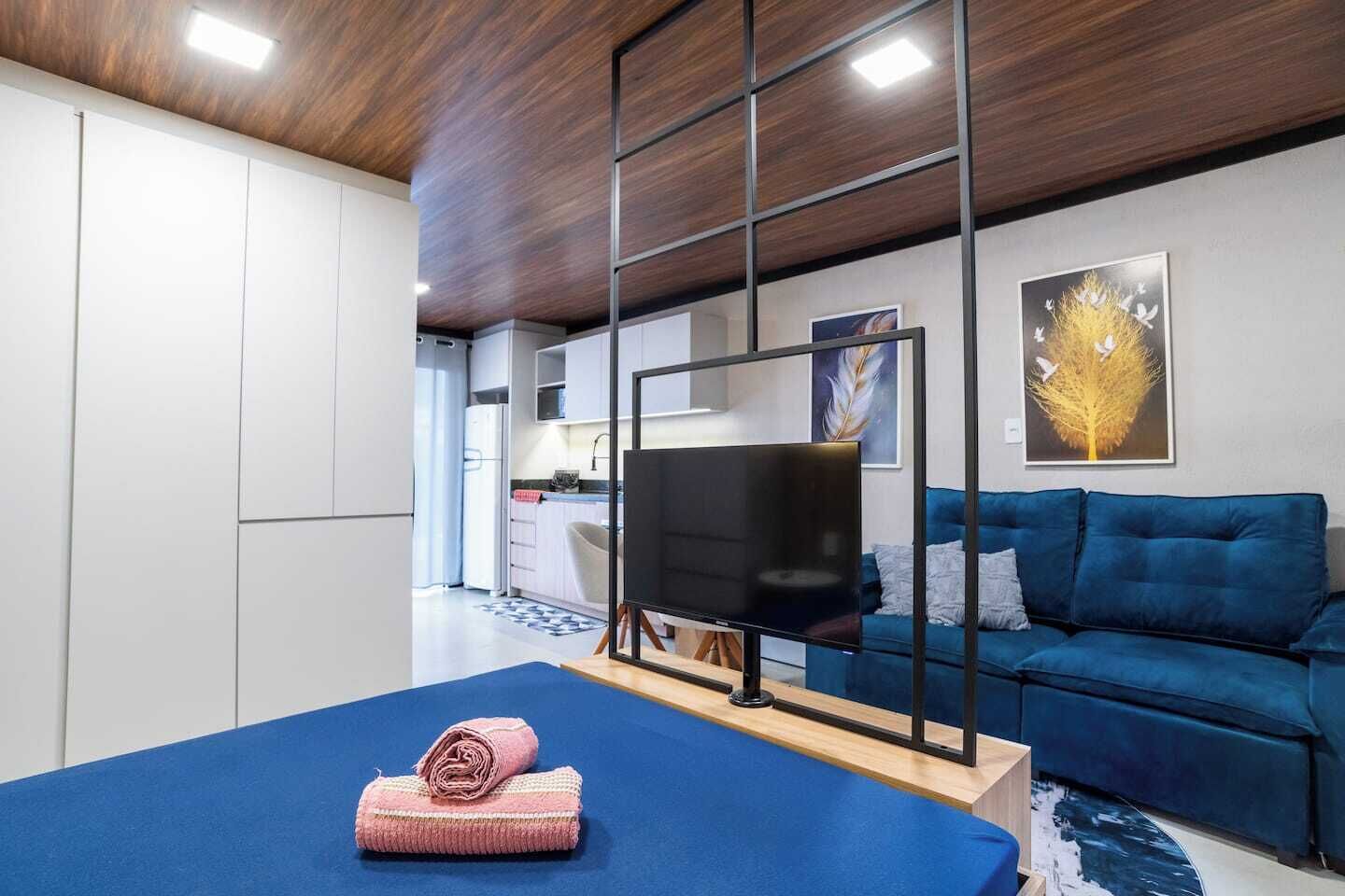 TV