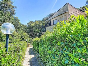 Un sendero lleva a una casa rodeada de abundante vegetación.