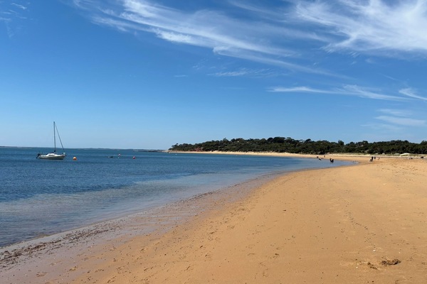 Strand