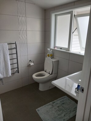 Bathroom - Studio apartment in Central Auckland district close to transport (Auckland)