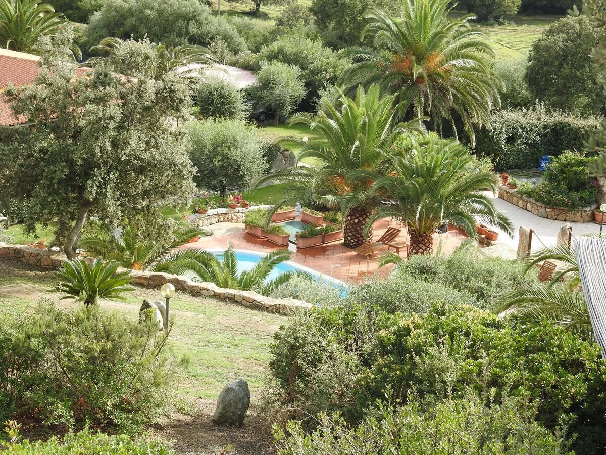 A pool surrounded by lush greenery and palm trees.