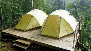 Dos tiendas de campaña montadas sobre una plataforma de madera en un área boscosa.