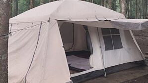 Una carpa color beige con ventana y un toldo impermeable, ubicada en un bosque.