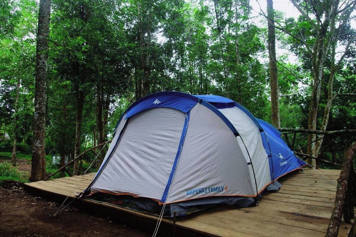 A tent set up on a wooden platform in a forested area.