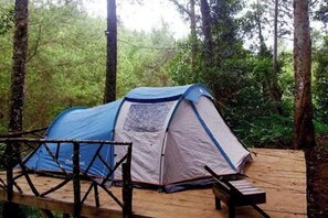 A blue and white tent set up on a wooden platform in a forested area. - Youlien Campsite Bandung (Pasirjambu)