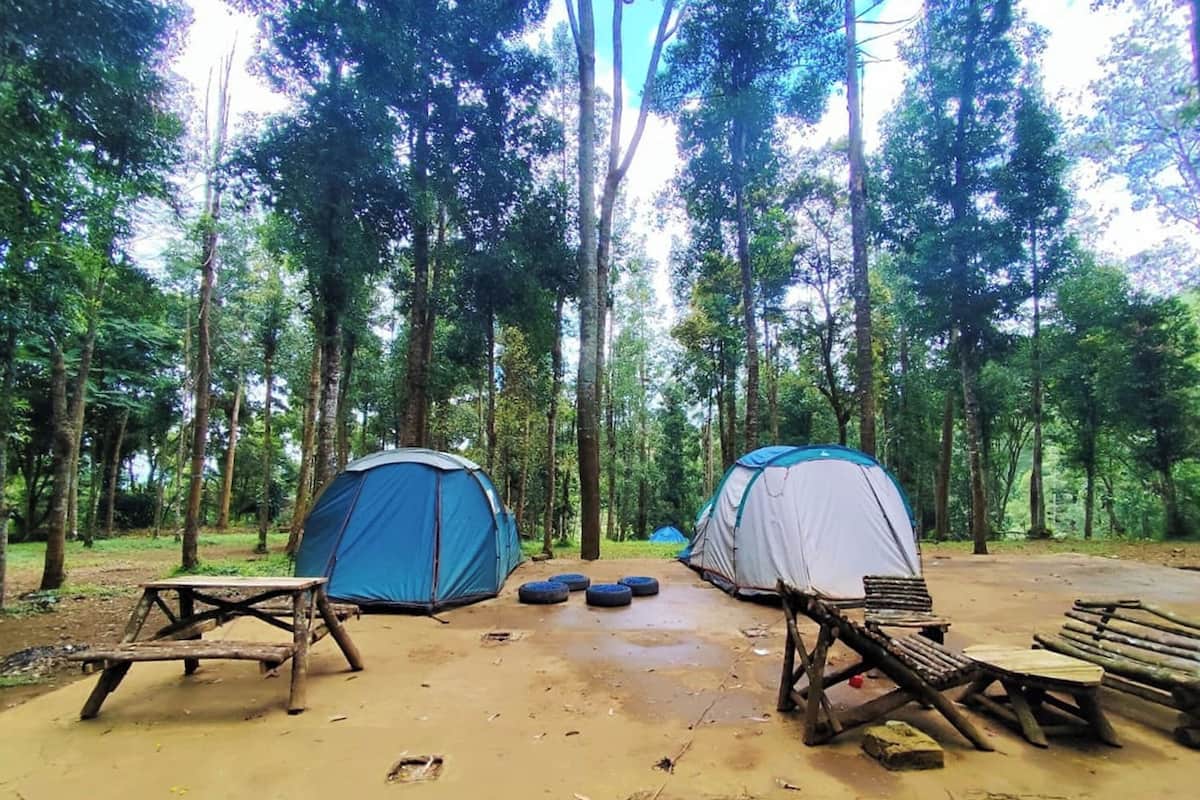A campsite with two tents, a picnic table, and a bench.