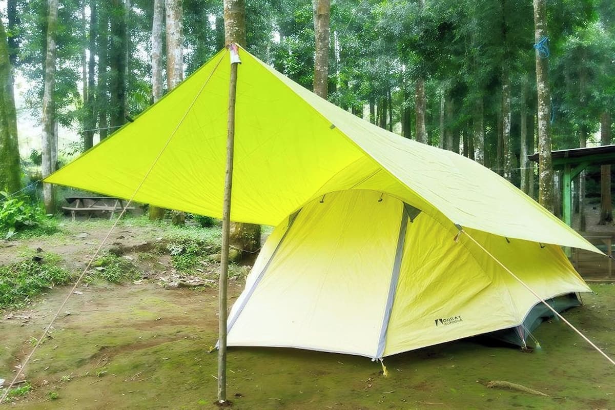 A yellow tent set up in a forested area with trees in the background.