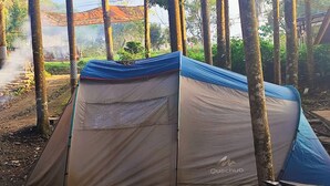 Una carpa con una combinación de colores azul y beige, montada en un área boscosa con árboles y un sendero de tierra visible al fondo.