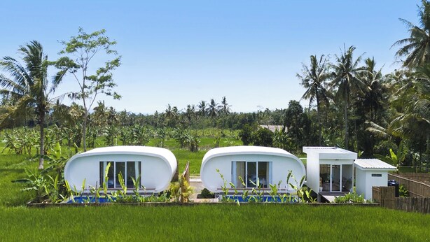 Une rangée de cabanes blanches, modernes et en forme de dôme, dotées de grandes fenêtres, entourées d’une végétation luxuriante et de palmiers.