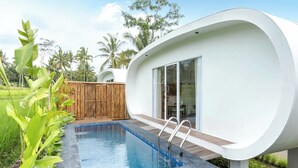 Une maison moderne avec une piscine, entourée de verdure et de palmiers.