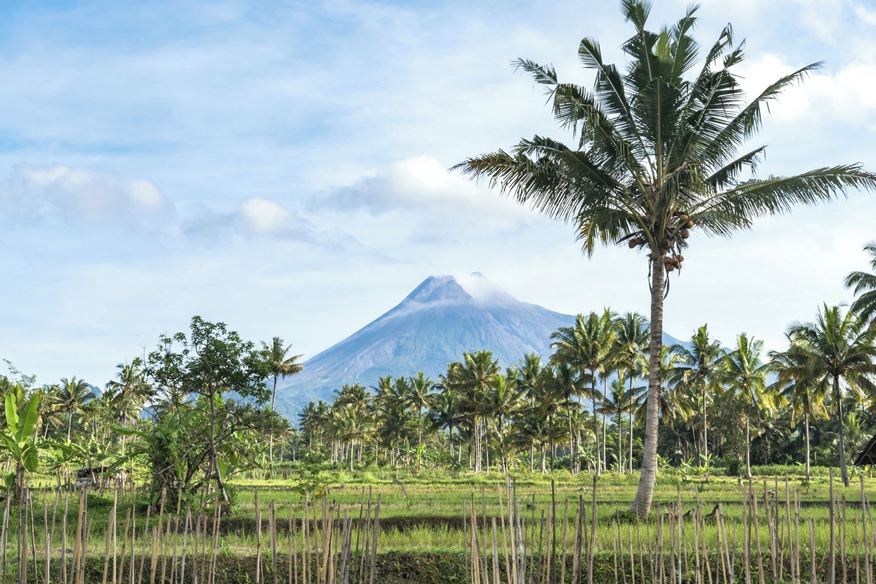 Bahagian luar